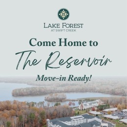 an image with text on top